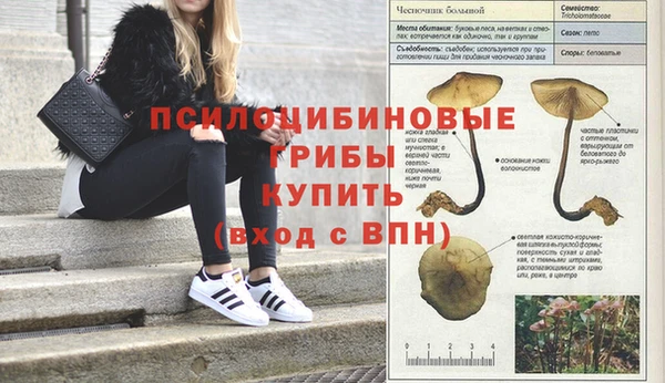 МДПВ Абинск